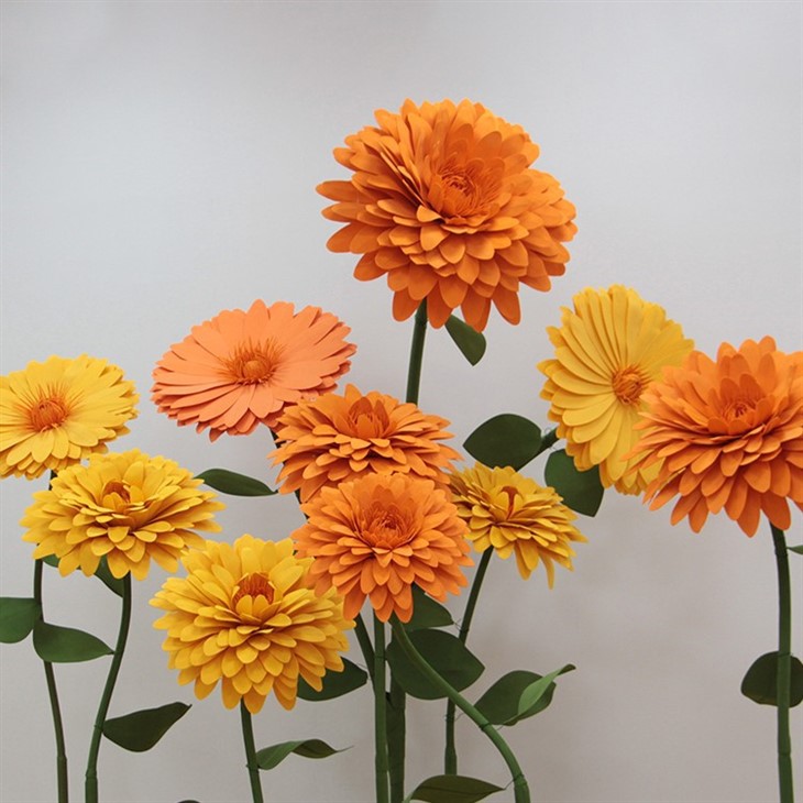 Köpük Çiçekler Marigold