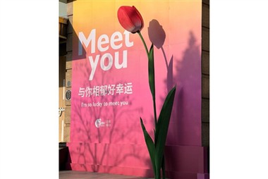 Büyük Boy Kağıt Çiçekler